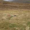 Field survey, YX20, Site 15, Replacement Overhead Line (YX route), Ben Cruachan Hydro Power Station to Dalmally Substation, Argyll and Bute