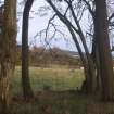 Cultural heritage assessment, View from Mummer’s Cairn (SM) to Black Cairn and Hill of Rothmaise, Proposed wind farm at Hill of Rothmaise, Meikle Wartle, Inverurie, Aberdeenshire