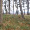 Cultural heritage assessment, Mummer’s Cairn (SM), Proposed wind farm at Hill of Rothmaise, Meikle Wartle, Inverurie, Aberdeenshire