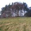 Cultural heritage assessment, View of Mummer’s Carin and the plantation that it sits in, Proposed wind farm at Hill of Rothmaise, Meikle Wartle, Inverurie, Aberdeenshire