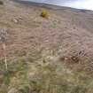 Cultural heritage assessment, Site 31c enclosure, S part, Crakaig Windfarm, Highland