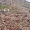 Cultural heritage assessment, Site 13d possible hut circle, Crakaig Windfarm, Highland