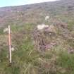 Cultural heritage assessment, Site 13f possible cairn, Crakaig Windfarm, Highland