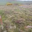 Cultural heritage assessment, Site 13j platform, Crakaig Windfarm, Highland