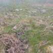 Cultural heritage assessment, Site 13k platform, Crakaig Windfarm, Highland