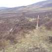 Cultural heritage assessment, Site 8 field wall / bank, Crakaig Windfarm, Highland
