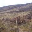 Cultural heritage assessment, Site 8 enclosure, Crakaig Windfarm, Highland