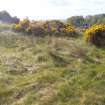 Cultural heritage assessment, Site 4b general area, Crakaig Windfarm, Highland