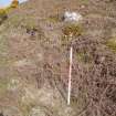 Cultural heritage assessment, Site 16a trackway, Crakaig Windfarm, Highland