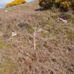 Cultural heritage assessment, Site 16b quarry, Crakaig Windfarm, Highland