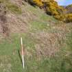 Cultural heritage assessment, Site 18 enclosure / animal pen, Crakaig Windfarm, Highland