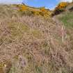 Cultural heritage assessment, Site 19 possible burnt mound, Crakaig Windfarm, Highland
