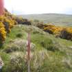 Cultural heritage assessment, Site 7 trackway, section near site 7, Crakaig Windfarm, Highland