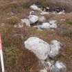 Cultural heritage assessment, Site 2 possible cist or stone alignment within cairn / structure, Crakaig Windfarm, Highland