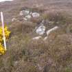 Cultural heritage assessment, Site 2 building - probable, Crakaig Windfarm, Highland