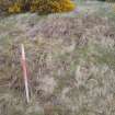 Cultural heritage assessment, Site 1 enclosure, Crakaig Windfarm, Highland
