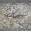 Archaeological evaluation, Stone-filled ditch [020], Ferneyhill Toll, Kelso