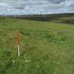 Cultural heritage assessment, Area of drainage ditches to south of site 52, from E, Neart Na Gaoithe Wind Farm Onshore Grid Connection, East Lothian