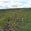 Cultural heritage assessment, Site 34.3, head dyke, from ESE, Neart Na Gaoithe Wind Farm Onshore Grid Connection, East Lothian
