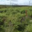 Cultural heritage assessment, Site 34. 4, from NE, Neart Na Gaoithe Wind Farm Onshore Grid Connection, East Lothian