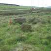 Cultural heritage assessment, Site 34.12, from NE, Neart Na Gaoithe Wind Farm Onshore Grid Connection, East Lothian