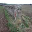 Cultural heritage assessment, Boundary wall, from SW, Neart Na Gaoithe Wind Farm Onshore Grid Connection, East Lothian