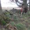 Cultural heritage assessment, Shot of clearance in shelter belt, site 18, from W, Neart Na Gaoithe Wind Farm Onshore Grid Connection, East Lothian