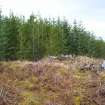 Field survey, Building 1 (part of Brarathy?), Cultural heritage assessment for proposed Strathy North Wind Farm, Highland