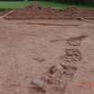 Excavation, Palisade F8, Whittingehame Tower, Traprain Law Environs project Phase 2, East Lothian
