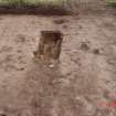 Archaeological excavation, Day 4, Early gully F31 (overdug), Standingstone, Traprain Law Environs Project Phase 2, East Lothian