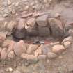 Archaeological excavation, Cist, Knowes Farm, Traprain Law Environs Project Phase 2, East Lothian
