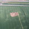Aerial photograph, Excavation at Knowes Farm, Traprain Law Environs Project Phase 2, East Lothian