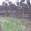 Walkover survey photograph, Archerfield Estate