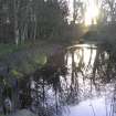 Walkover survey photograph of pond 30, Archerfield Estate