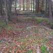 Walkover survey photograph, Archerfield Estate