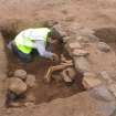 Archaeological excavation, Horse burial, Archerfield Estate