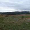 Walkover survey, Barskeoch Farmstead/enclosure, Site 48, Barclye to Palmure Pipeline Scheme, Newton Stewart
