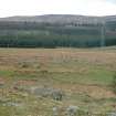Walkover survey, Barskeoch Farmstead/enclosure, Site 48, Barclye to Palmure Pipeline Scheme, Newton Stewart