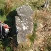 Walkover survey, Coffin Stone, Site 2, Barclye to Palmure Pipeline Scheme, Newton Stewart