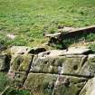 Walkover survey, Kiltersan, Cup-marked stone, Site 28, Barclye to Palmure Pipeline Scheme, Newton Stewart