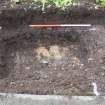 Watching brief, Trench 2, Natural clay [204], Maryhill Locks, Forth and Clyde Canal, Glasgow