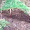 Trial trench evaluation, N-facing section through bank [900] in Trench 9, Kilmelford, Argyll