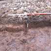 Trial trench evaluation, Cairn 1 showing peat B-Horizon in Trench 12, Kilmelford, Argyll