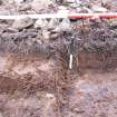 Trial trench evaluation, Cairn 1 showing peat B-Horizon in Trench 12, Kilmelford, Argyll