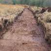 Trial trench evaluation, General view of Trench 7, Kilmelford, Argyll