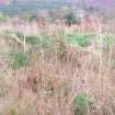 Trial trench evaluation, General view of earthen bank [900] W of main drain, Kilmelford, Argyll