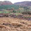 Trial trench evaluation, General view, Kilmelford, Argyll