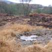 Trial trench evaluation, General view, Kilmelford, Argyll