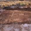 Trial trench evaluation, General view, Kilmelford, Argyll