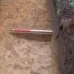 Archaeological evaluation, General view, East Beechwood Farm, Highland